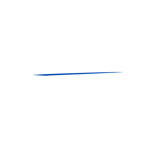 Deluxe Car Decor